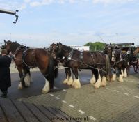 191013Bokbierdag_0011