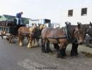 191013Bokbierdag_0014