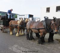 191013Bokbierdag_0014