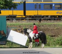 191013Bokbierdag_0063