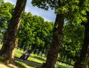 road races hengelo web