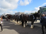 181007Bokbierdag_0003